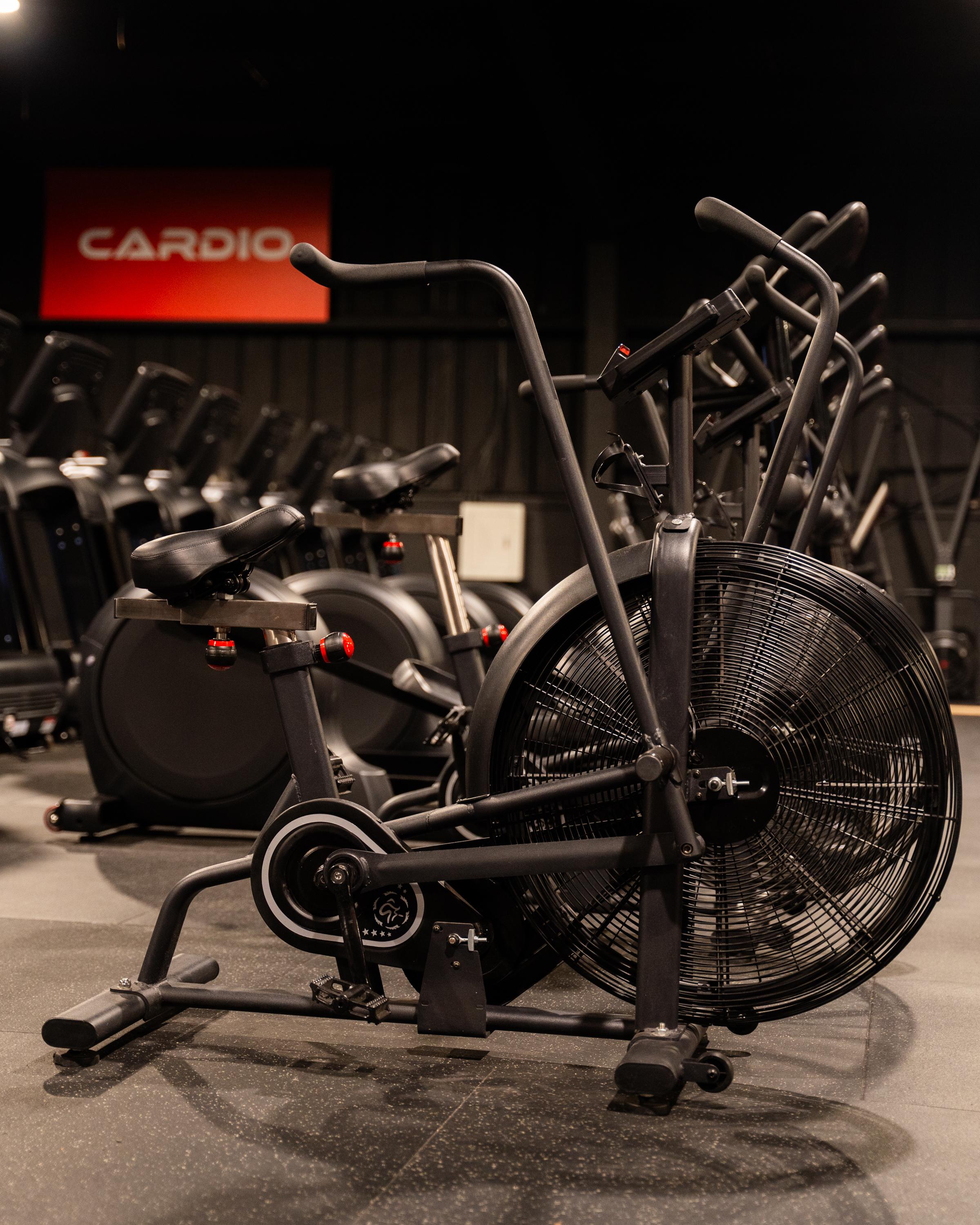 Stationary Bike Rogue Vs Assault Bike Air Bike RLD-AB — Realleader UK